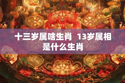 十三岁属啥生肖  13岁属相是什么生肖
