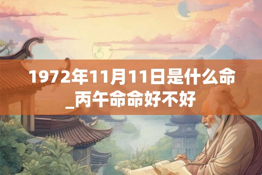 1972年11月11日是什么命_丙午命命好不好