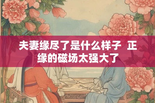 夫妻缘尽了是什么样子  正缘的磁场太强大了