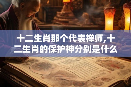 十二生肖那个代表禅师,十二生肖的保护神分别是什么