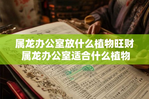 属龙办公室放什么植物旺财 属龙办公室适合什么植物旺财