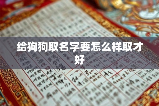 给狗狗取名字要怎么样取才好