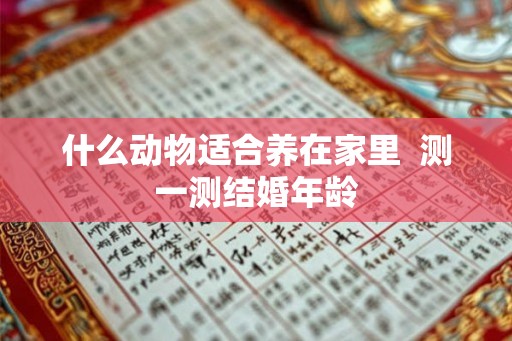 什么动物适合养在家里  测一测结婚年龄