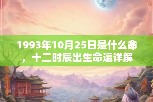 1993年10月25日是什么命，十二时辰出生命运详解