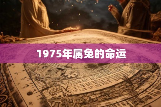 1975年属兔的命运