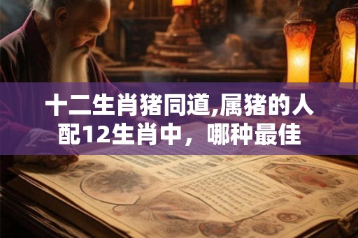 十二生肖猪同道,属猪的人配12生肖中，哪种最佳