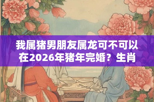 我属猪男朋友属龙可不可以在2026年猪年完婚？生肖猪的缺点你知道吗？