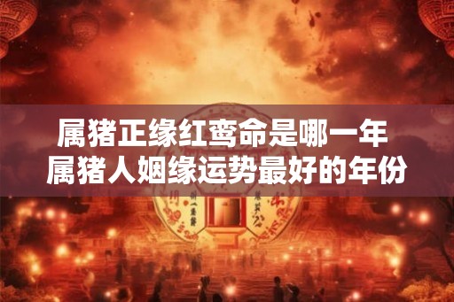 属猪正缘红鸾命是哪一年 属猪人姻缘运势最好的年份