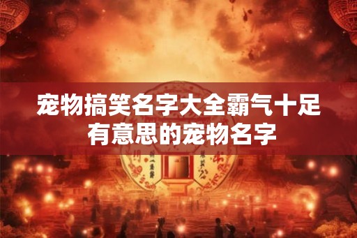 宠物搞笑名字大全霸气十足 有意思的宠物名字 宠物搞笑名字大全霸气十足 有意思的宠物名字