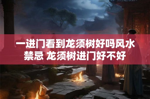 一进门看到龙须树好吗风水禁忌 龙须树进门好不好