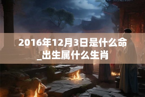 2016年12月3日是什么命_出生属什么生肖
