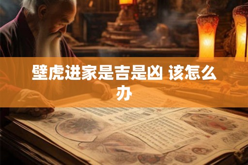 壁虎进家是吉是凶 该怎么办 壁虎进家是吉是凶 该怎么办