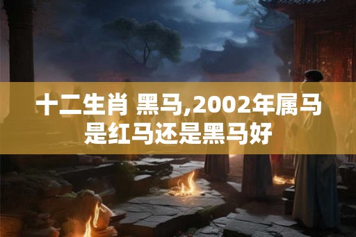 十二生肖 黑马,2002年属马是红马还是黑马好