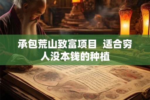 承包荒山致富项目  适合穷人没本钱的种植