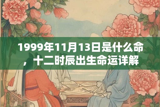 1999年11月13日是什么命，十二时辰出生命运详解