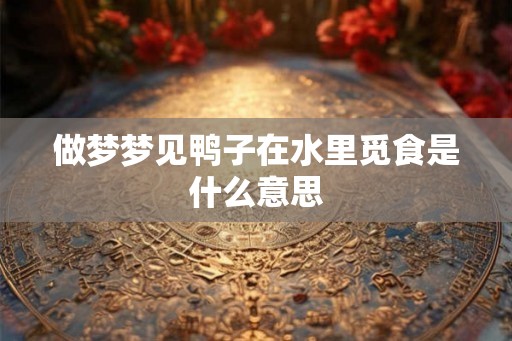 做梦梦见鸭子在水里觅食是什么意思 做梦梦见鸭子在水里觅食是什么意思