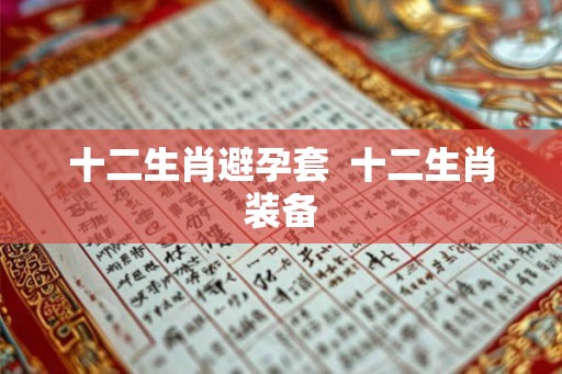 十二生肖避孕套  十二生肖装备