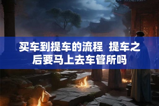 买车到提车的流程  提车之后要马上去车管所吗
