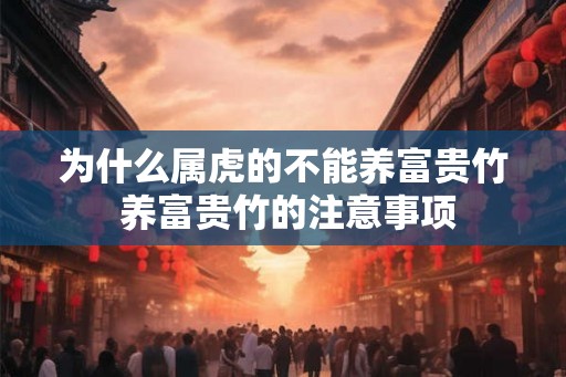 为什么属虎的不能养富贵竹 养富贵竹的注意事项 为什么属虎的不能养富贵竹 养富贵竹的注意事项