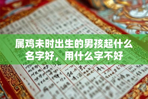 属鸡未时出生的男孩起什么名字好，用什么字不好