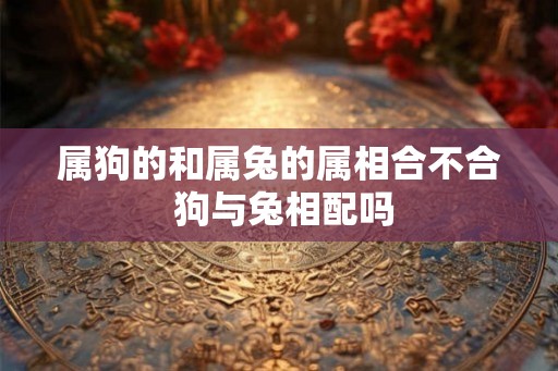 属狗的和属兔的属相合不合 狗与兔相配吗