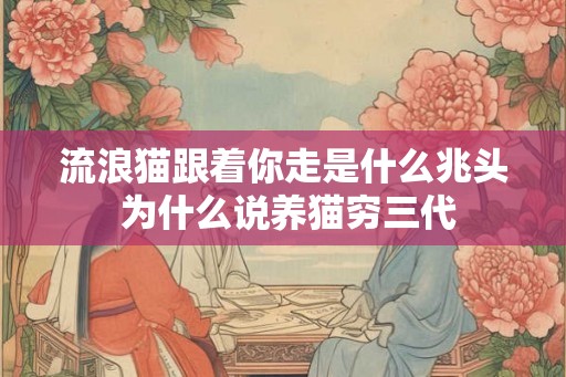流浪猫跟着你走是什么兆头 为什么说养猫穷三代 流浪猫跟着你走是什么兆头 为什么说养猫穷三代