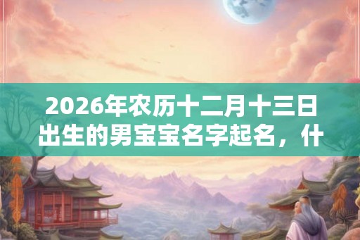 2026年农历十二月十三日出生的男宝宝名字起名，什么名字好？