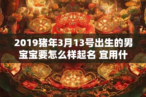 2019猪年3月13号出生的男宝宝要怎么样起名 宜用什么字