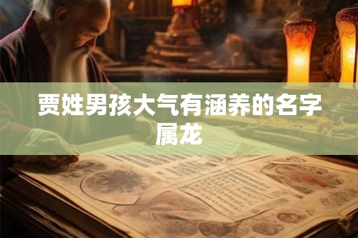 贾姓男孩大气有涵养的名字属龙