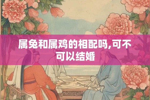 属兔和属鸡的相配吗,可不可以结婚