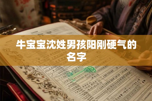 牛宝宝沈姓男孩阳刚硬气的名字