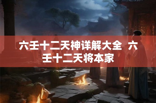 六壬十二天神详解大全  六壬十二天将本家