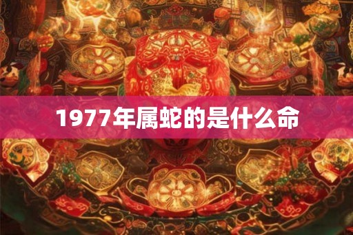 1977年属蛇的是什么命