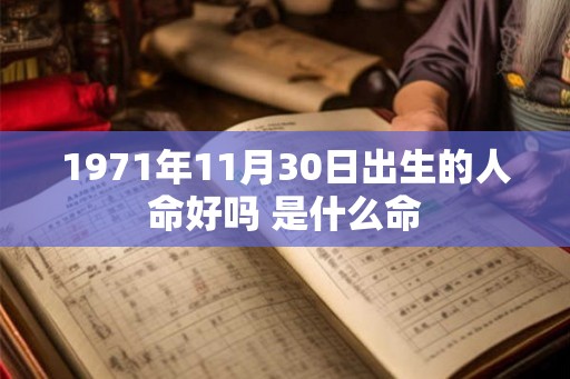 1971年11月30日出生的人命好吗 是什么命