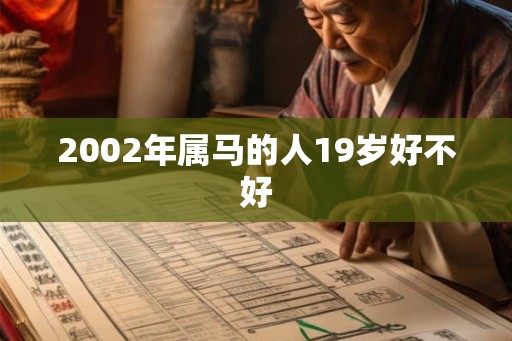2002年属马的人19岁好不好