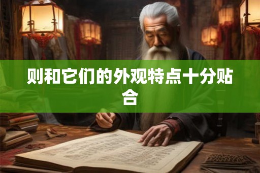 则和它们的外观特点十分贴合