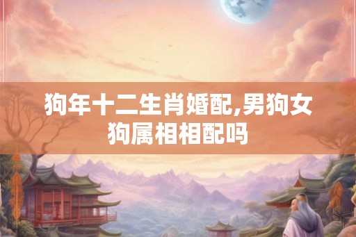 狗年十二生肖婚配,男狗女狗属相相配吗