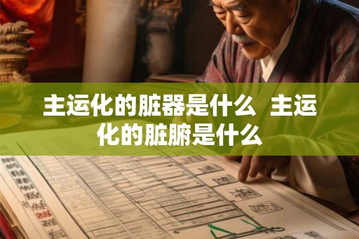 主运化的脏器是什么  主运化的脏腑是什么