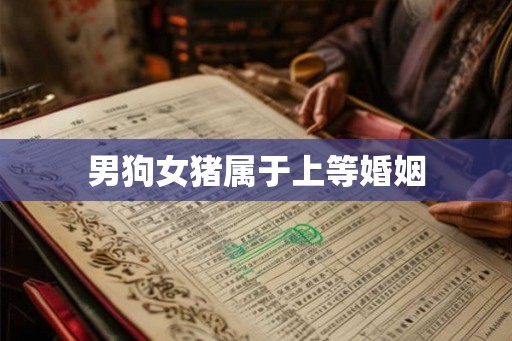 男狗女猪属于上等婚姻