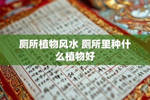 厕所植物风水 厕所里种什么植物好