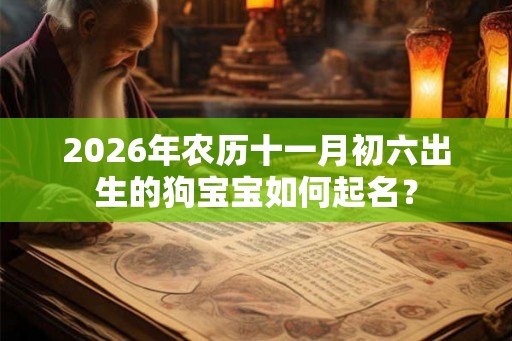 2026年农历十一月初六出生的狗宝宝如何起名？