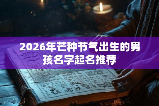 2026年芒种节气出生的男孩名字起名推荐