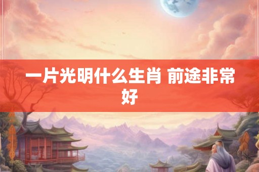一片光明什么生肖 前途非常好