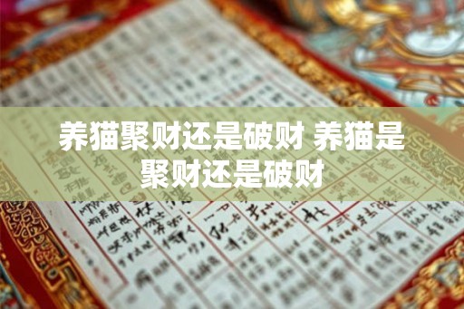 养猫聚财还是破财 养猫是聚财还是破财