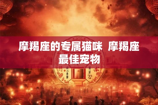摩羯座的专属猫咪  摩羯座最佳宠物