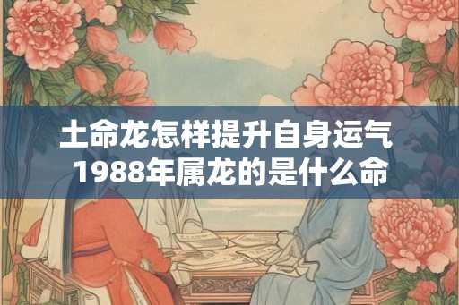 土命龙怎样提升自身运气 1988年属龙的是什么命