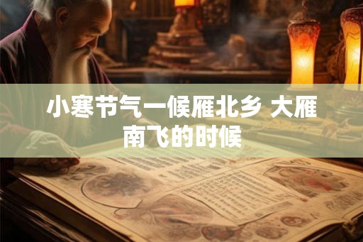小寒节气一候雁北乡 大雁南飞的时候 小寒节气一候雁北乡 大雁南飞的时候