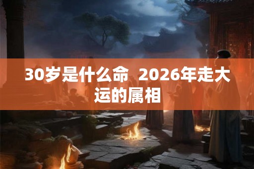 30岁是什么命  2026年走大运的属相