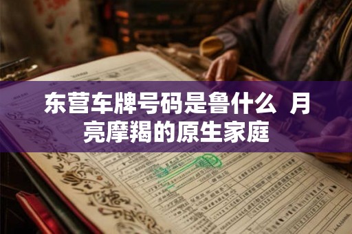 东营车牌号码是鲁什么  月亮摩羯的原生家庭