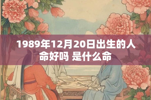 1989年12月20日出生的人命好吗 是什么命